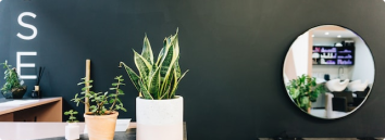 سامانه بیوتی